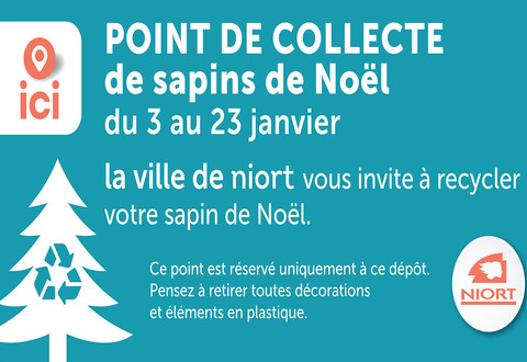 Illustration article : Ensemble recyclons nos sapins de Noël !