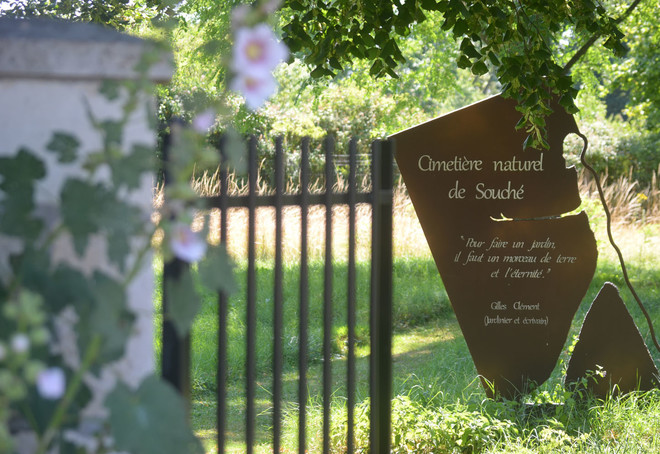 Sortie nature : La biodiversité d'un cimetière