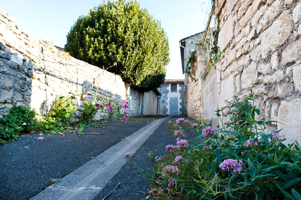 Petit Village de Ribray
