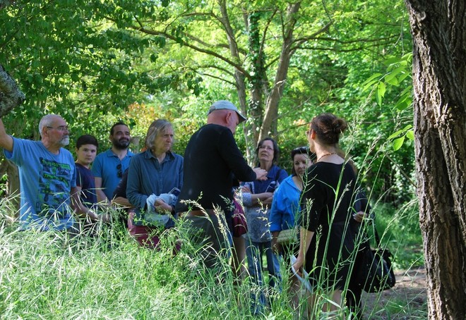 Atelier Jardin au naturel : Nature secrète sur le chemin de l'école buissonnière