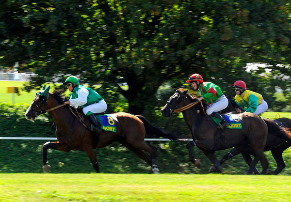 Hippodrome de Romagné