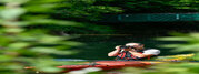 Pierre Viala guide canoe Kayak et photographe