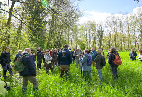 Sortie nature dans le marais de Galuchet