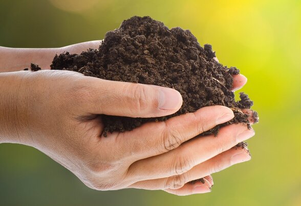 - Agrandir l'image, fenêtre modale