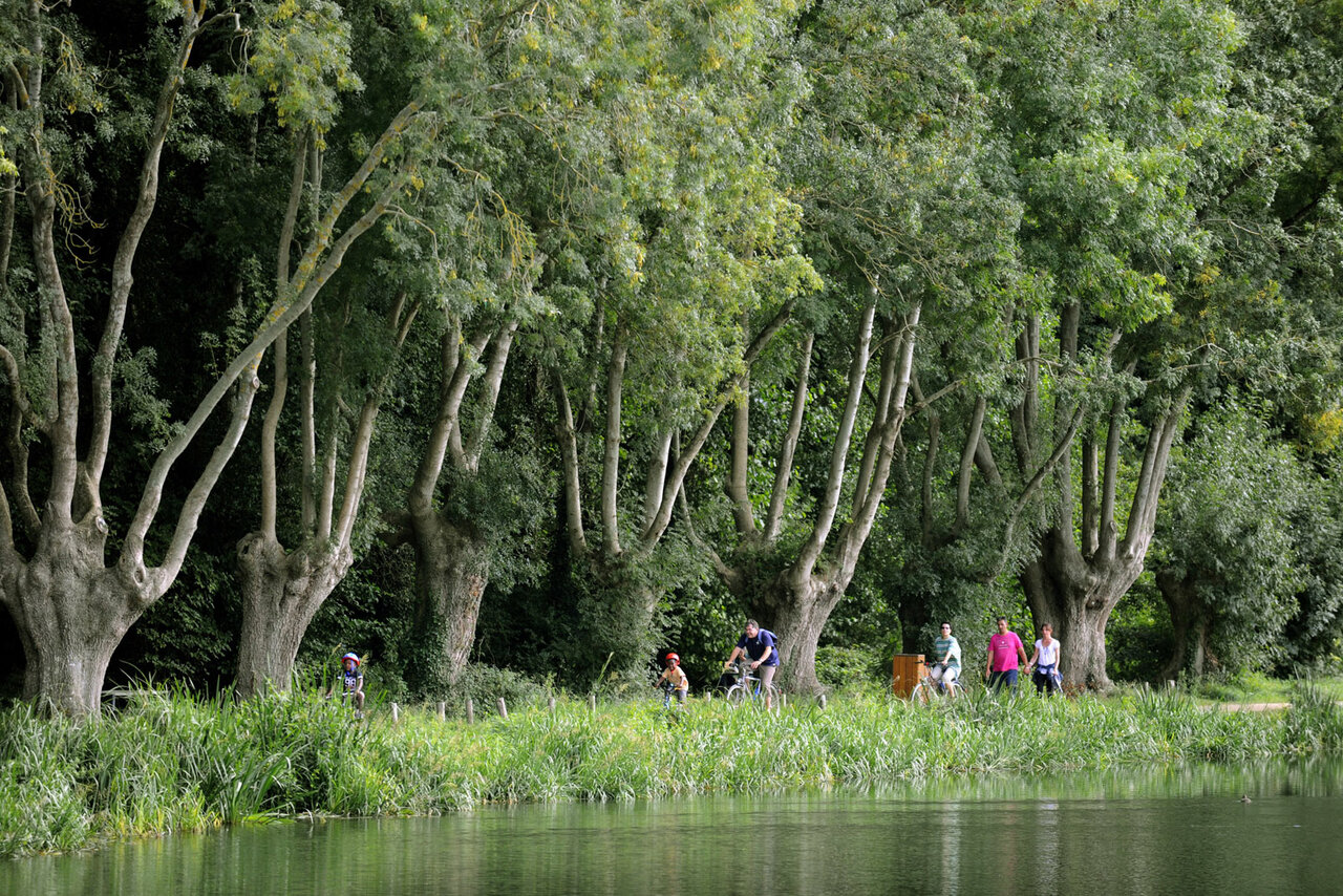 Promenade en bord de Sèvre © Christophe Bernard
