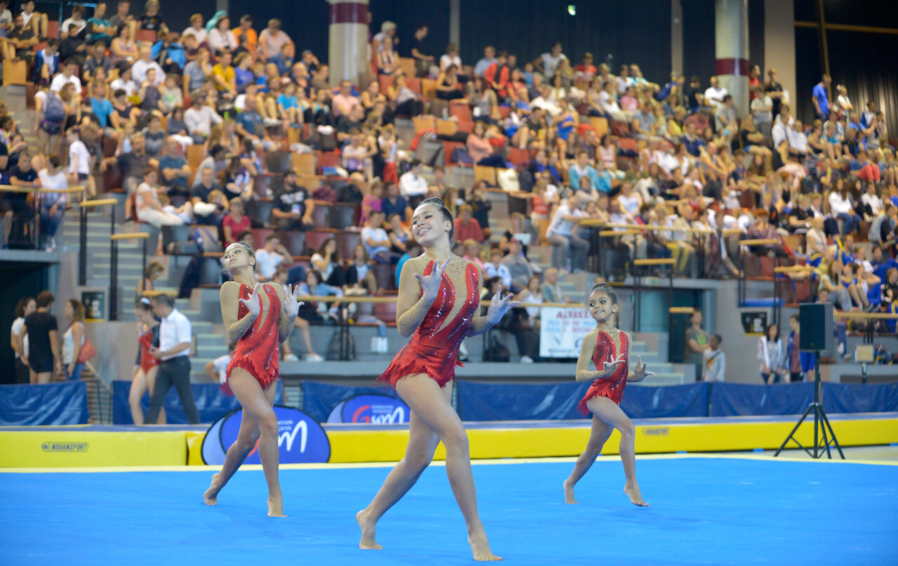 Championnat de France de gymnastique 2017