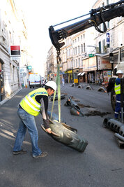 Les dragons de la rue Ricard. Crédit : B.Derbord