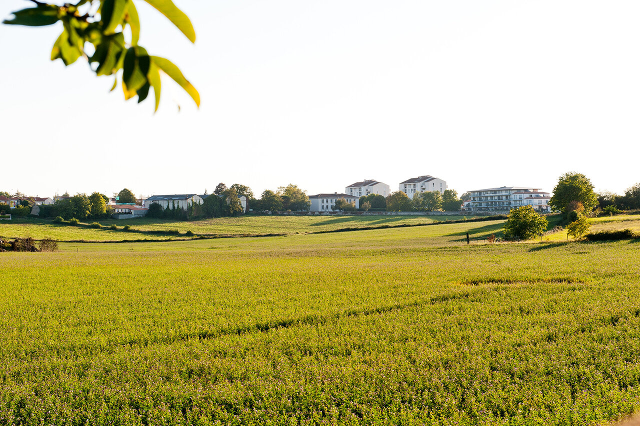 Le sud du quartier bordé de champs © Alexandre Giraud