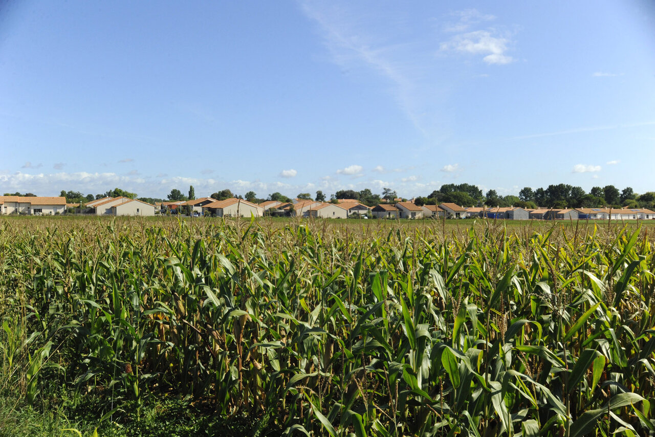 Terres agricoles de Saint-Liguaire © Christophe Bernard
