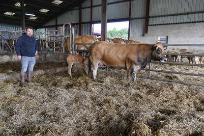 Mathieu Breillat eleveur de parthenaise a Coulon presente sa vache et son veau pour la preselection du Salon de l?Agriculture. EARL Breillat - vaches parthenaises Mathieu Breillat eleveur de parthenaise a Coulon presente sa vache et son veau pour la preselection du Salon de l?Agriculture. EARL Breillat - vaches parthenaises