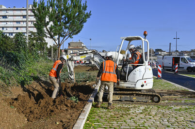 Parking Effia courte duree : plantations - Agrandir l'image 155 sur [166], fenêtre modale