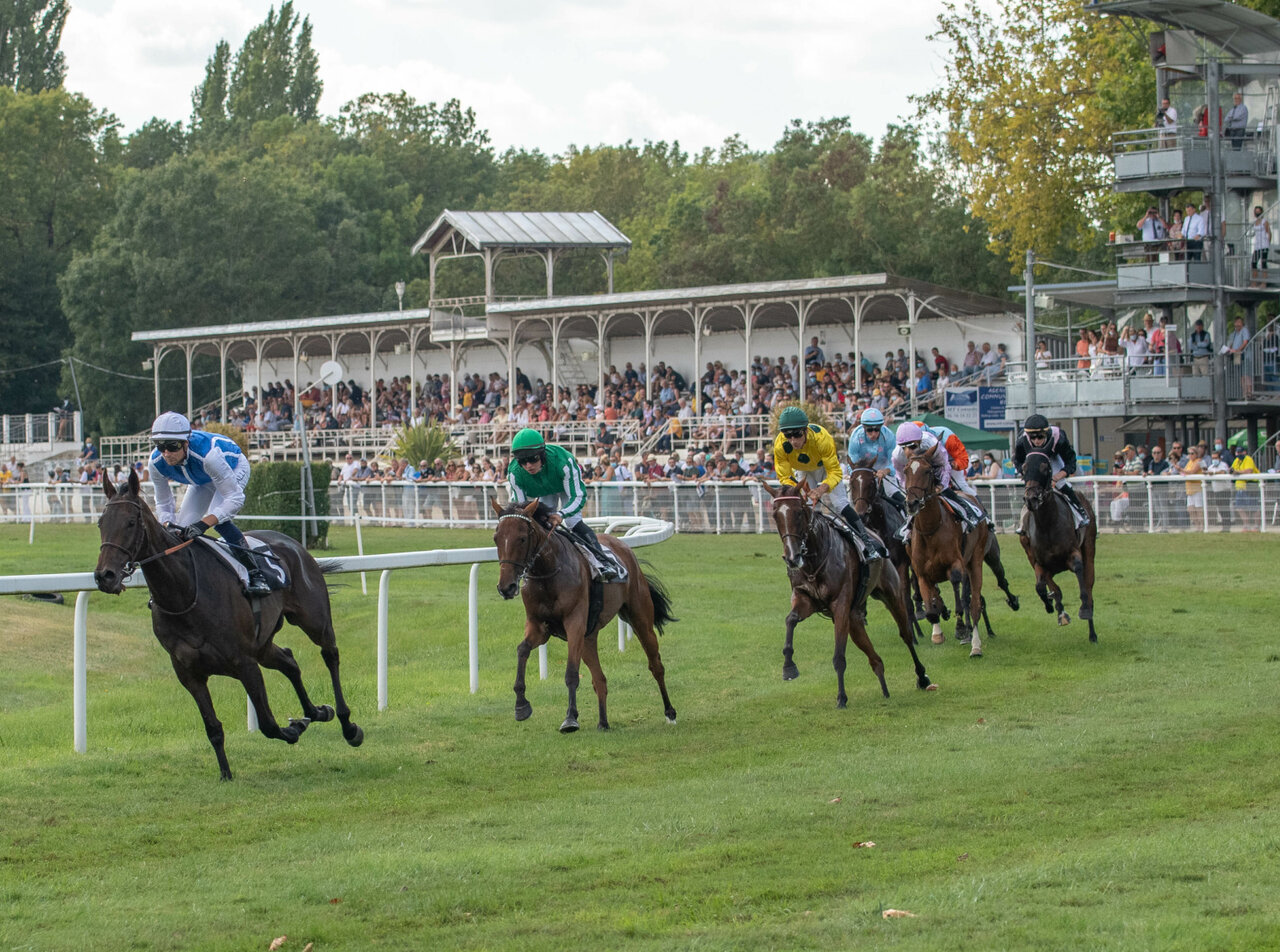 Courses à l'hippodrome de Romagné © Eric Chauvet